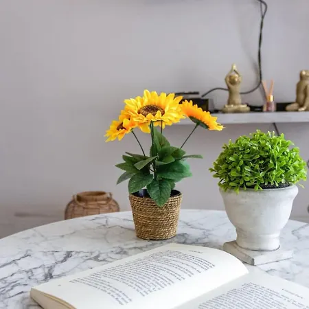 Le Bricka - Hypercentre - Cosy - 2 Min From The Sea Apartment Antibes